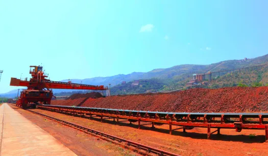 Raw Material Security